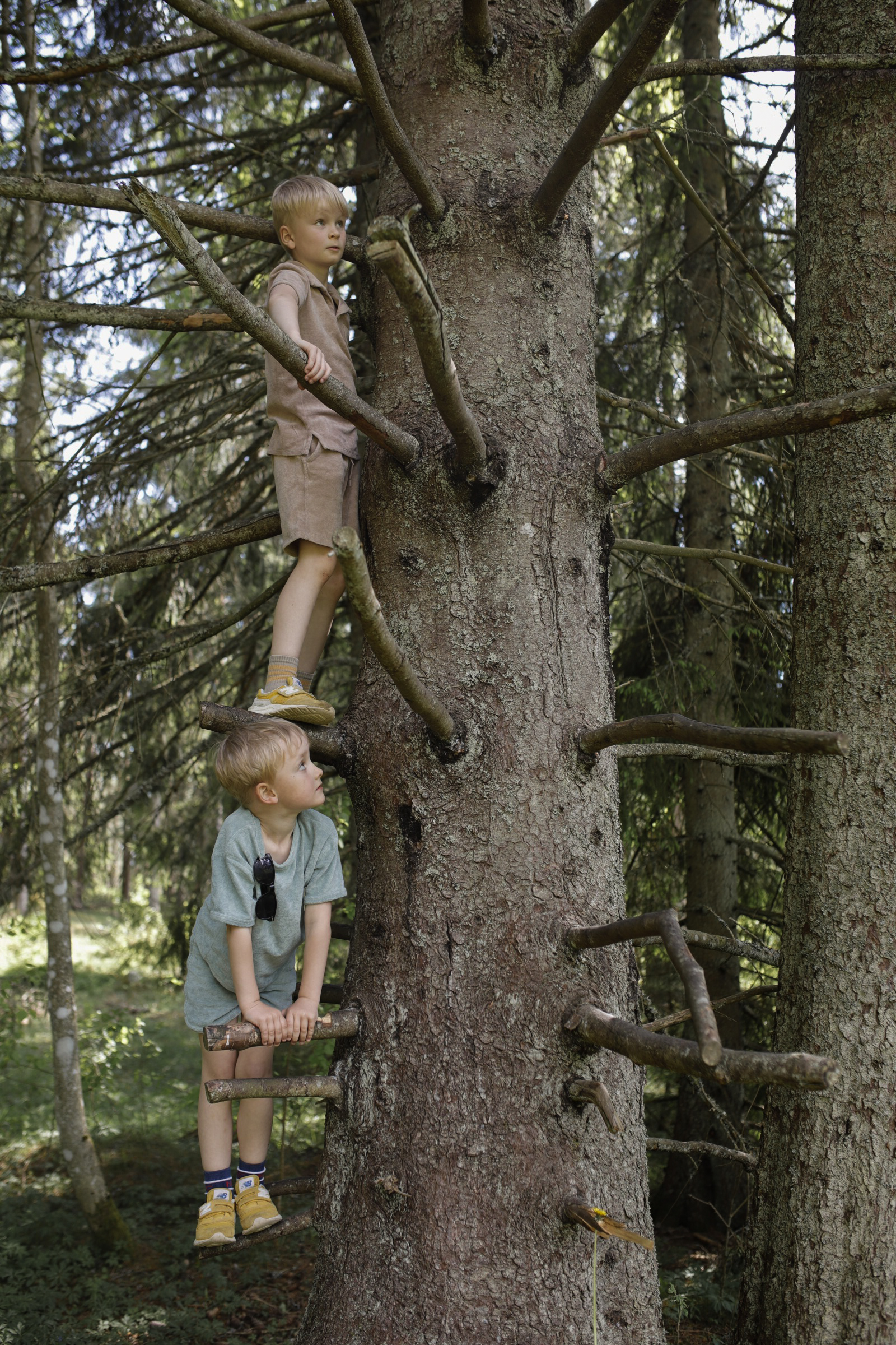 Två barn som klättrar i träd.