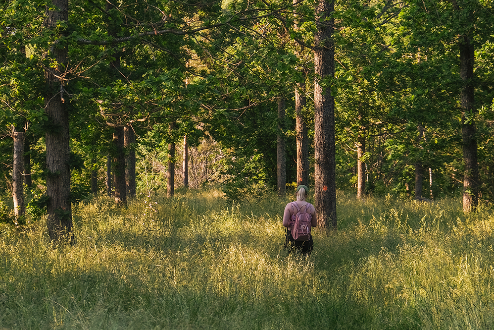 Sol som slår i ängsgräs med några träd och en tjej med rosa ryggsäck står i gräset