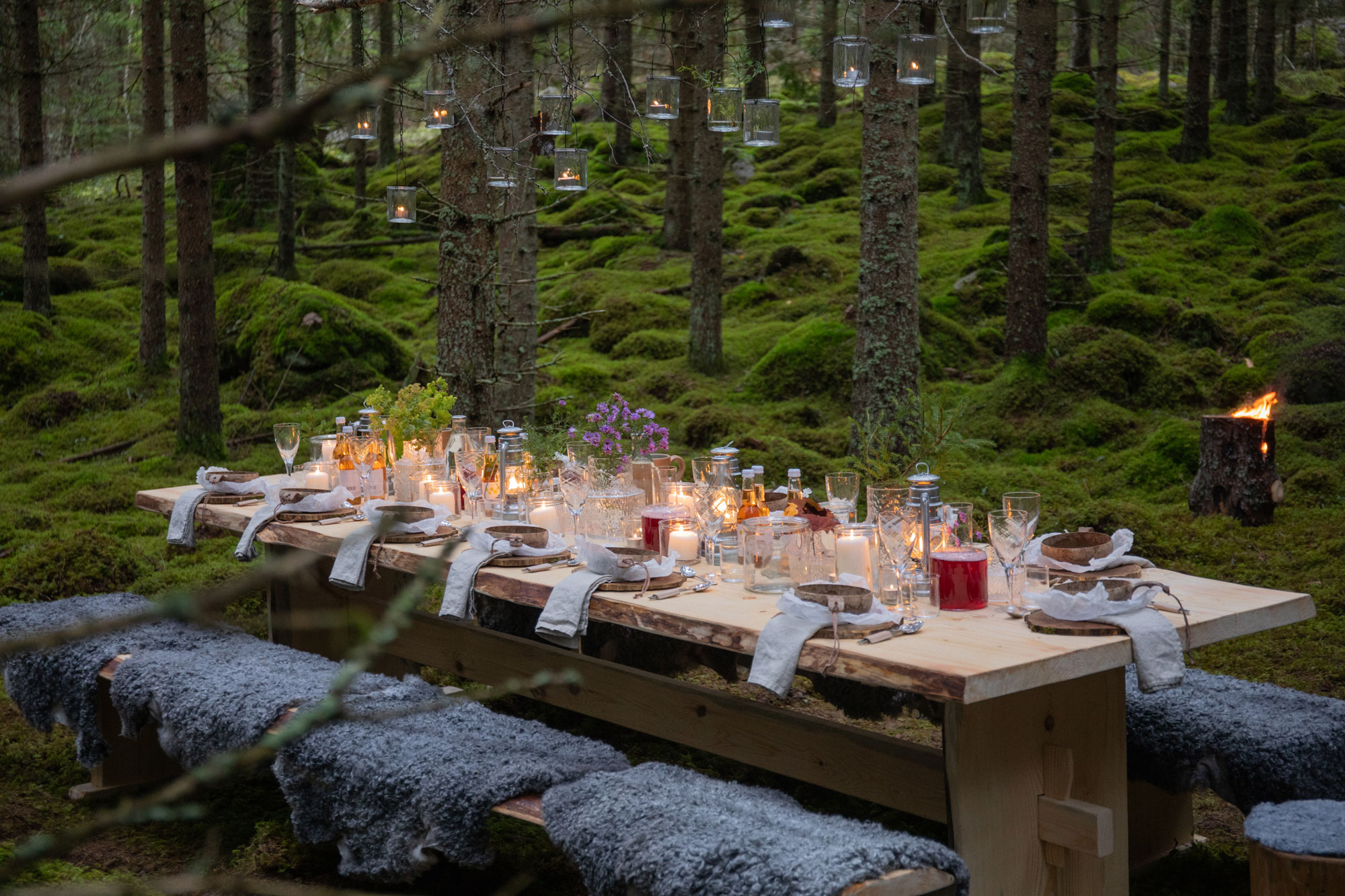 Uppdukat bord mitt i den småländska skogen, The Edible Country